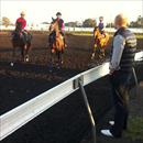 Ben Ingham at Rosehill trackwork Ben Ingham at Rosehill trackwork
